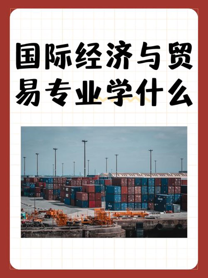 聚焦广州贸易风云：市场动态与企业策略